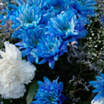 El Significado Espiritual de la Hortensia Azul: una Flor que Inspira Paz y Tranquilidad
