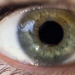 El significado espiritual de los ojos marrones: más que simplemente pigmentación.