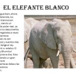 El significado espiritual del elefante blanco y su poder en nuestras vidas.