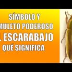 Escarabajo de estiércol: Descubre el fascinante significado espiritual detrás de este insecto sagrado.