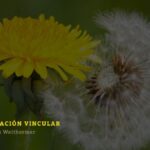 Flor de Diente de León: Explorando su Significado Espiritual y Poder Transformador