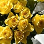 Flores Amarillas: Su significado espiritual y magia en nuestras vidas.