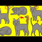 Gato Amarillo: El Significado Espiritual de Este Fascinante Animal