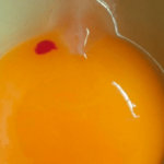 Huevo con Sangre: Su Significado Espiritual y el Poder de Transformación