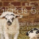 Los Frutos del Espíritu Santo: Su significado según la Biblia y la Biblia King James