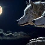 Luna del Lobo 2023: Descubre el Significado Espiritual y su Influencia en tu Vida