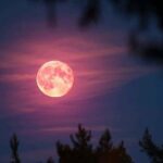 Luna Rosa: el Significado Espiritual de Este Fenómeno Celestial