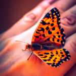 Mariposa naranja: Descubre su significado espiritual y simbolismo en el crecimiento personal.
