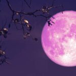 Significado espiritual de la Luna Rosa: Descubre su influencia en tu vida y cómo aprovechar su energía.