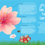 Significado espiritual de las flores secas: Descubre su poder y conexión con la naturaleza