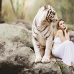 Tigre Blanco: El Significado Espiritual y su Poderosa Simbología
