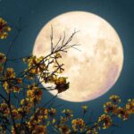 Luna llena de mayo de 2023: Descubre su significado espiritual y energético.