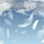 Significado espiritual de soñar con plumas blancas: conexión celestial y mensajes del universo.